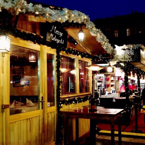 «Нотатки мандрівниці» Олени Кравчук: оргазм в Будапешті, вуличні смаколики та термальні води