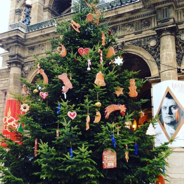 «Нотатки мандрівниці» Олени Кравчук: оргазм в Будапешті, вуличні смаколики та термальні води