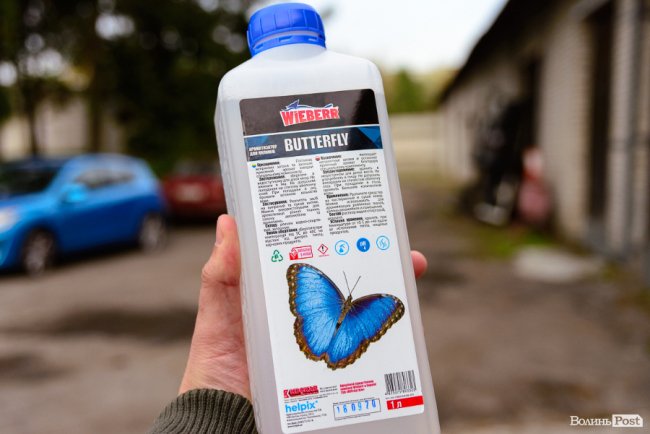 Забрали брудний – привезли як новий: де у Луцьку ідеально відчистити килими. ФОТО*