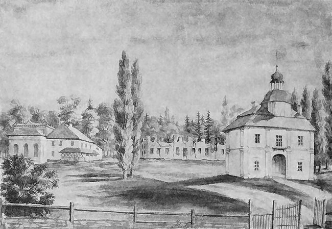 Голоби. Зображення з Вікіпедії