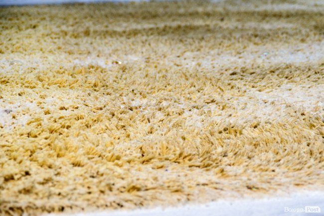 Передвеликодні клопоти: де у Луцьку якісно та недорого почистити килим?