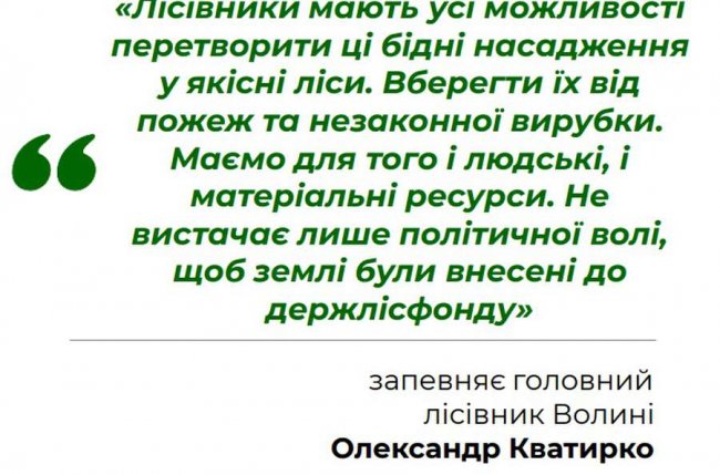 «Нічийні» землі: хто повинен відповідати за ліси-самосіви на Волині