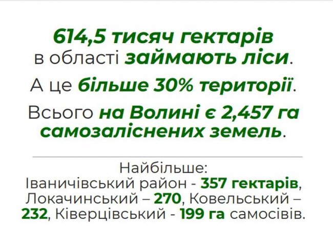 «Нічийні» землі: хто повинен відповідати за ліси-самосіви на Волині