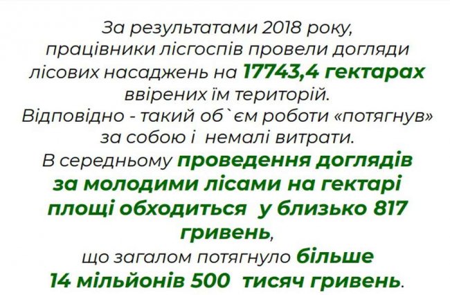 «Нічийні» землі: хто повинен відповідати за ліси-самосіви на Волині