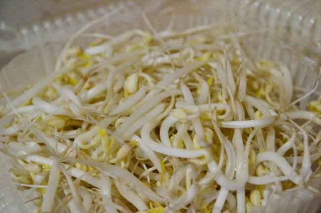 Лучанка створила вдома маленьку ферму і вирощує новомодний мікрогрін. ФОТО