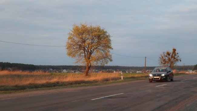Дорога стала Шляхом