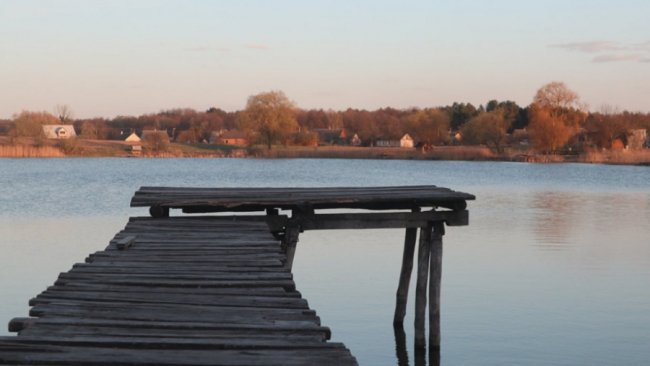 Дорогою додому