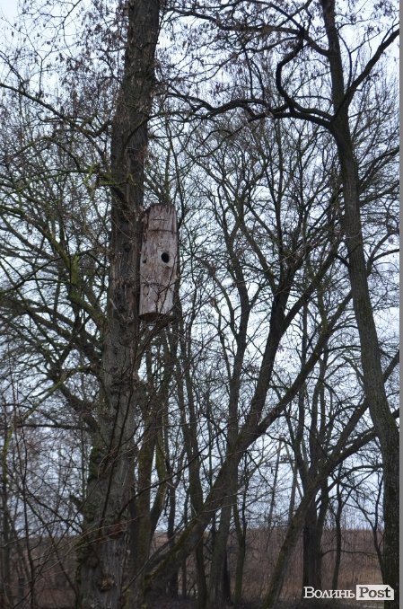 Бортьова система бджільництва