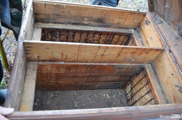 Бджільництво по-волинськи: луцькі пасічники створили «музей меду»