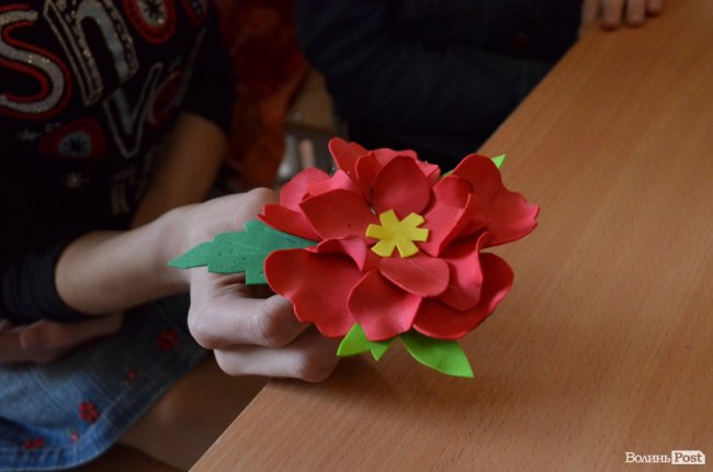 Мріють стати кравчинями і побачити гори: зворушлива історія «кришталевих» близнят з Волині 