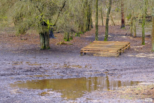 Лісівники показали, як розвивають мисливське господарство на Волині