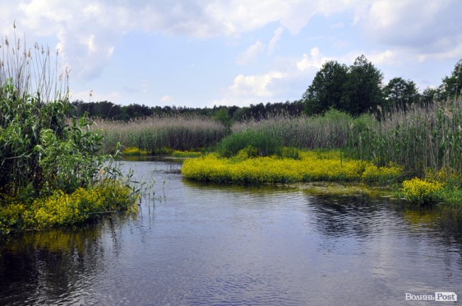 Туристичні принади Волині: лабіринтами «Амазонки»