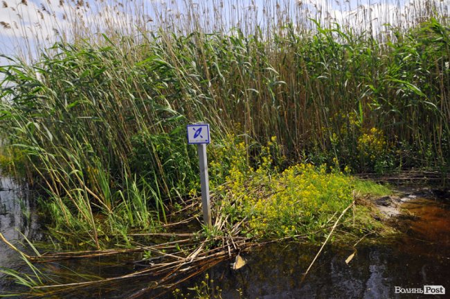 Туристичні принади Волині: лабіринтами «Амазонки»
