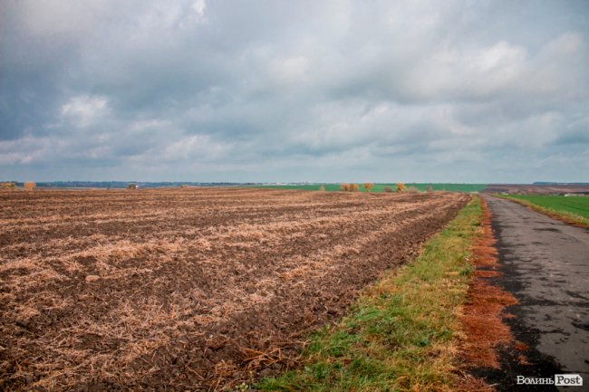 Без домішок і рослинних жирів: як на Волині виготовляють «молочку». ФОТО