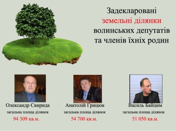 Сімейний підряд: статки і доходи депутатів Волиньради