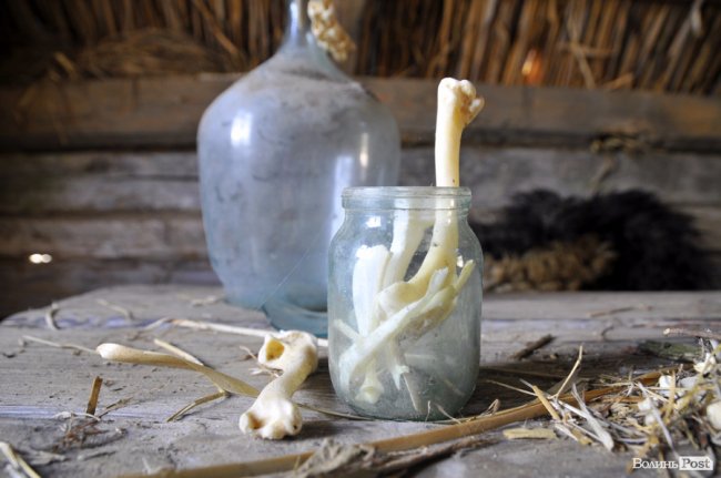 Туристичні принади Волині: лабіринтами «Амазонки»