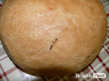 «Цілком таємно». Що можна знайти у волинському хлібі і як перевірити його якість