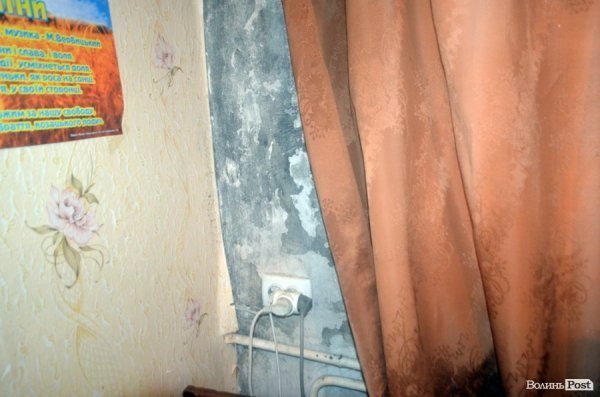 Студентський ревізор: грибок, вікінги і контрасти у гуртожитку №2