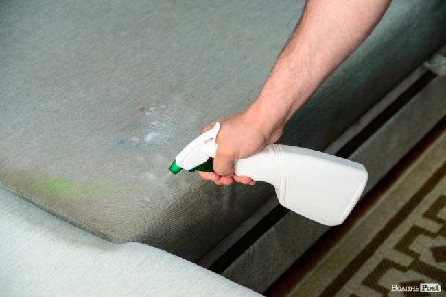 Порятунок від плям і шкідників: луцька клінінгова компанія «SAVA» надає послуги виїзної хімчистки. ФОТО*