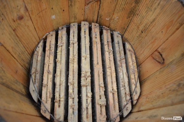 Бджільництво по-волинськи: луцькі пасічники створили «музей меду»