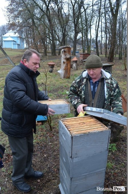 Альпійський вулик