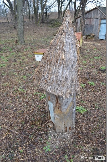 Бджільництво по-волинськи: луцькі пасічники створили «музей меду»
