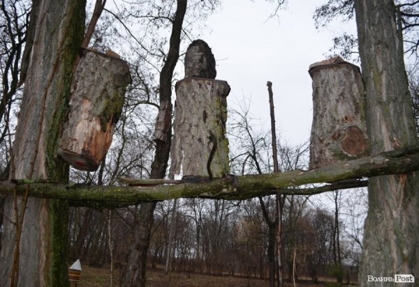 Бортьова система бджільництва