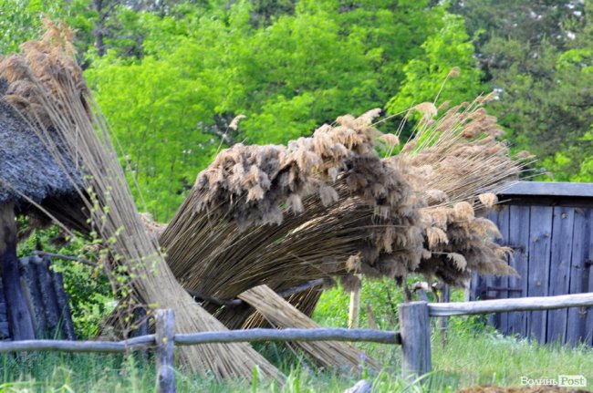 Місце, де спинився час: загублені на Волині Сваловичі 