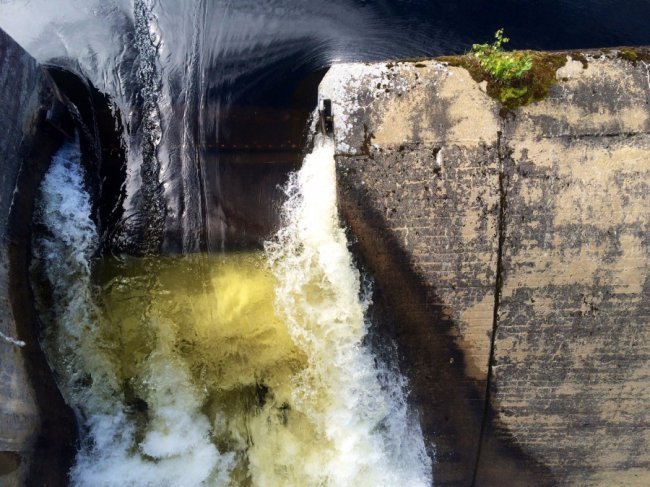 «Нотатки мандрівника» Ярослава Тарнавського: корисні лайфхаки дешевих мандрів