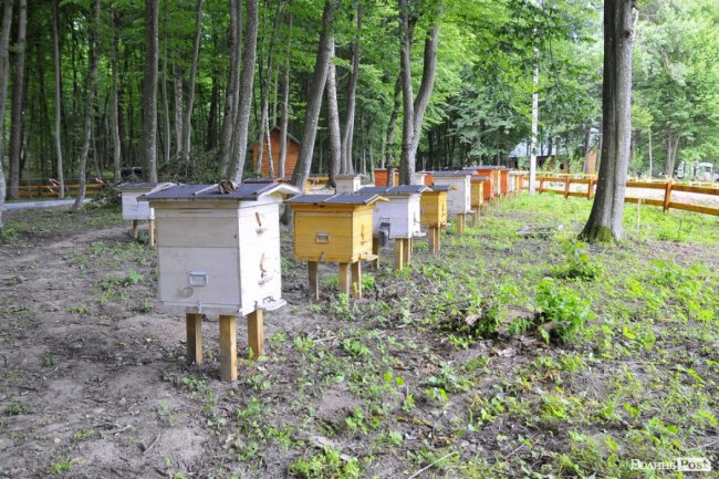 Воротнів. «Маленька Швейцарія» під Луцьком