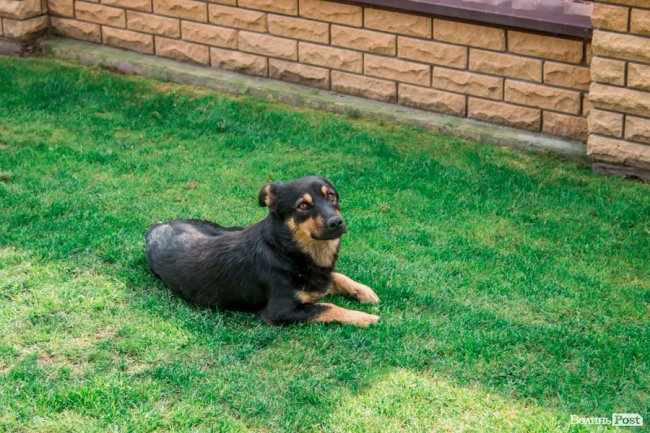 «Ми годували цукром всю північ СРСР»: як «показове» село Волині перетворилося на віддалений луцький райончик