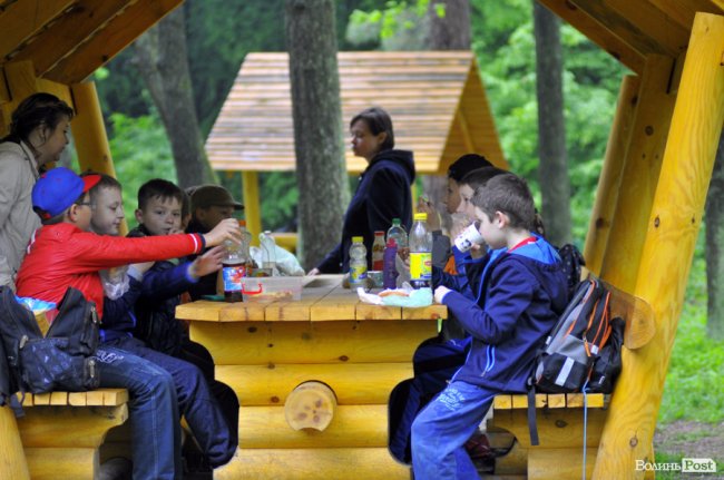 Екологічні стежки у волинському лісі – безліч відкриттів не лише для дітей