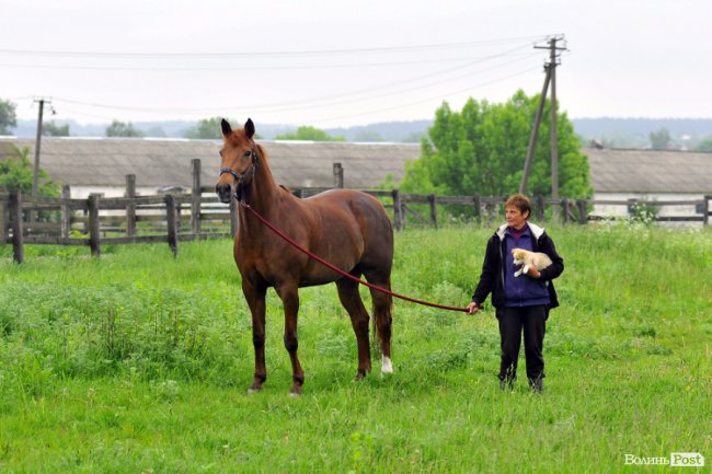 Екологічні стежки у волинському лісі – безліч відкриттів не лише для дітей