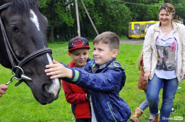 Екологічні стежки у волинському лісі – безліч відкриттів не лише для дітей