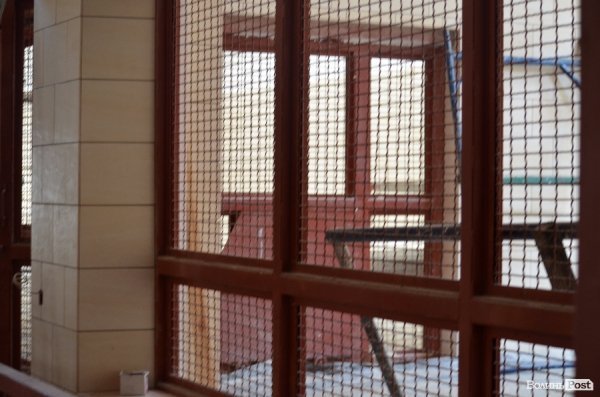 Що переживають звірі під час реконструкції луцького зоопарку