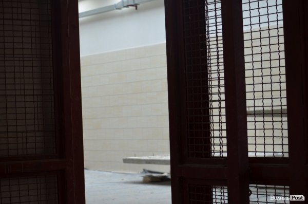 Що переживають звірі під час реконструкції луцького зоопарку