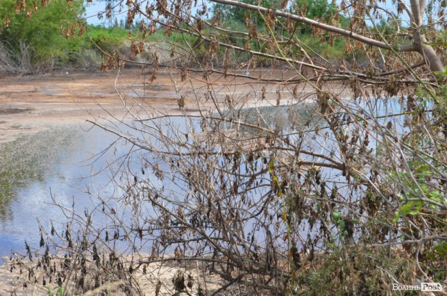 #МеніТутСмердюцько: чим тхне Луцьк. ФОТО