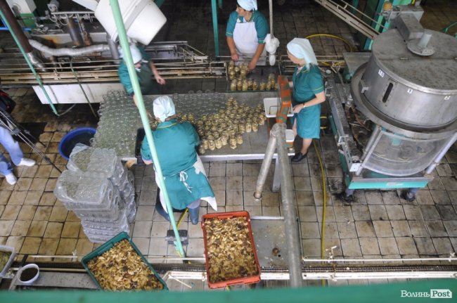 Маневицькими грибами смакуватиме Європа