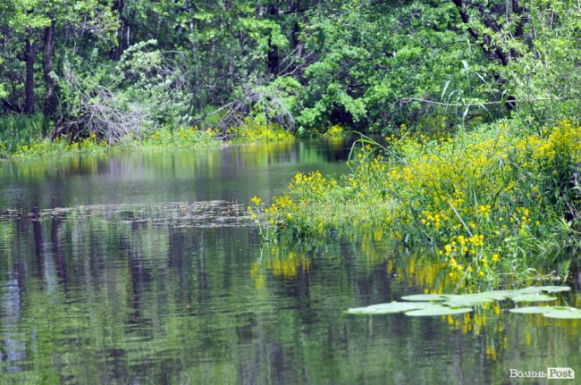 Туристичні принади Волині: лабіринтами «Амазонки»