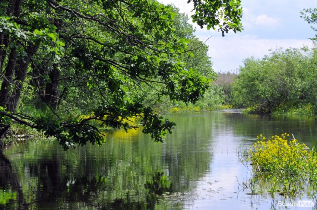 Туристичні принади Волині: лабіринтами «Амазонки»