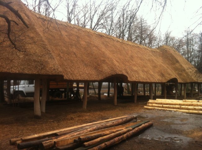 Стильно, екологічно, раціонально: дах з очерету – вибір людей 21-го століття* 