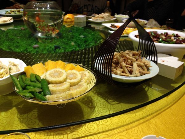 «Нотатки мандрівниці» Христини Лесюк: китайські підробки,  побиті діти та «3 пісюни»