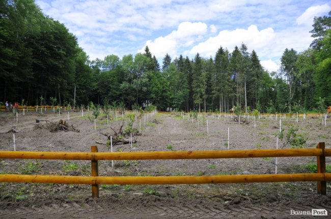 Воротнів. «Маленька Швейцарія» під Луцьком