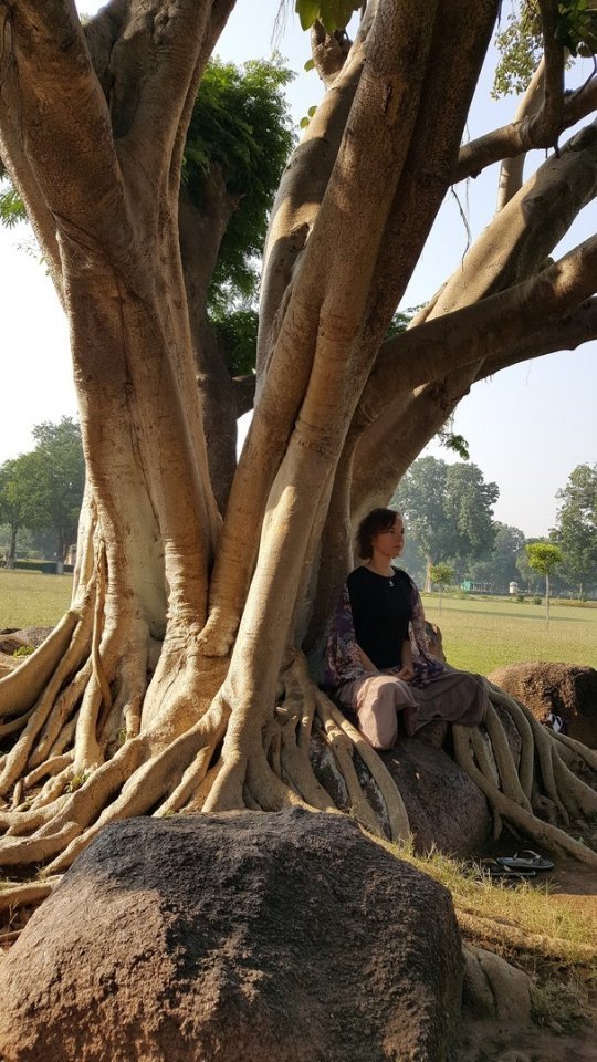 «Нотатки мандрівника» Христини Губської: несвященні корови, багато грошей та еротика