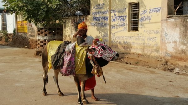 «Нотатки мандрівника» Христини Губської: несвященні корови, багато грошей та еротика