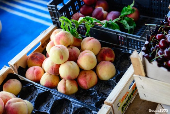 Про кавуновий бізнес і Україну: розмова з луцьким продавцем «смугастиків» із нотками азербайджанського акценту