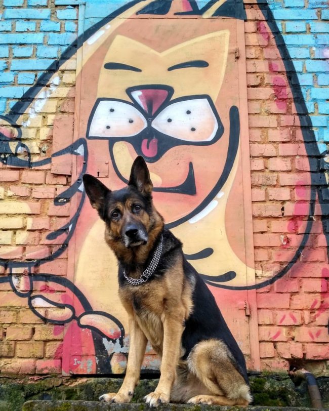 «Той, хто малює котів»: історія вуличного художника Енда