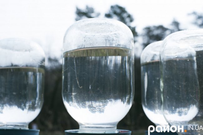 «Історії довкола лісу» і секрети бджолярства від волинського пасічника