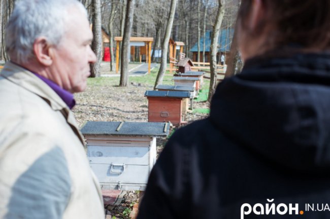 «Історії довкола лісу» і секрети бджолярства від волинського пасічника