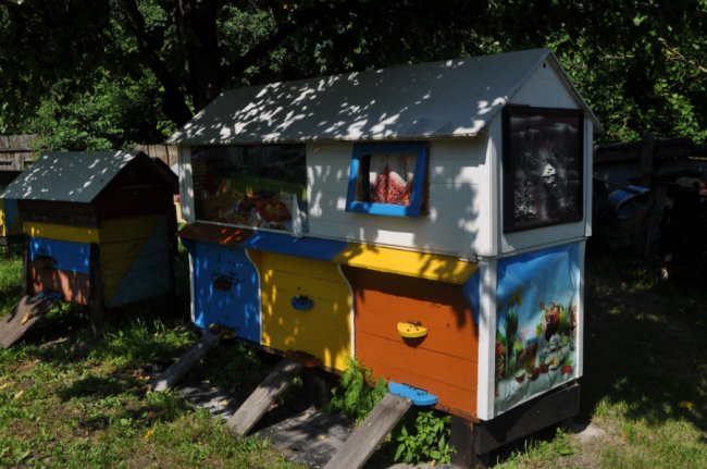 До бджолярства привів нещасний випадок: волинянин на пасіці оздоровлює людей